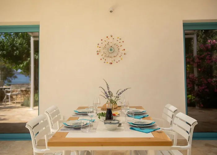 Iremia By Thamnoi Living